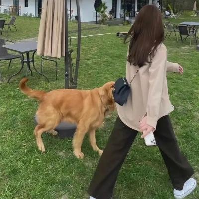 帝后互殴，但全宫都在磕CP